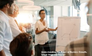 Stages of Business Growth
