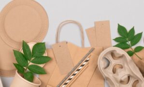 Top Eco-Friendly Franchise Business Ideas