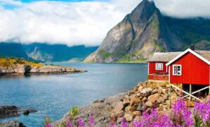 Discover the Best Luxury Rentals Near You – Ultimate Guide for 2025