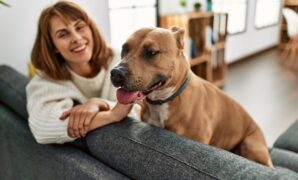 Pet-Friendly Rentals: Best Options for 2025
